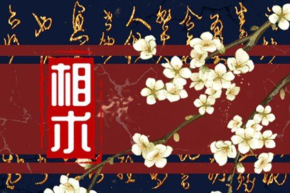 胎记长在什么部位有福气(胎记长在各个部位的意思)插图