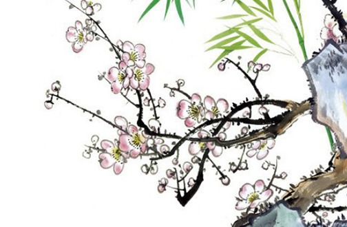 属狗的今年(12月份运势怎么样呢?)插图