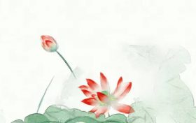 三个字的科技公司名字大全(科技公司起名三个字的名字大全)缩略图 三个字的科技公司名字大全(科技公司起名三个字的名字大全)缩略图