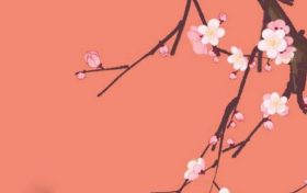 比较好听的生鲜超市名称 生鲜超市起个响亮的名字大全缩略图 比较好听的生鲜超市名称 生鲜超市起个响亮的名字大全缩略图