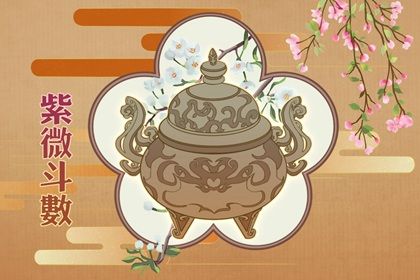 紫微斗数怎么看事业发展(紫微斗数事业发展方位)插图