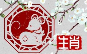2008年属鼠的幸运颜色和数字(2008年属鼠人的幸运数字和幸运颜色)缩略图 2008年属鼠的幸运颜色和数字(2008年属鼠人的幸运数字和幸运颜色)缩略图