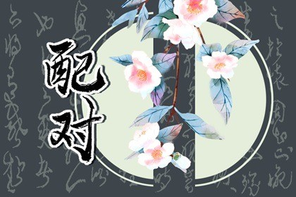 癸酉日柱2021年财运(己酉年乙亥月癸卯日癸亥时2021的财运怎么样)插图
