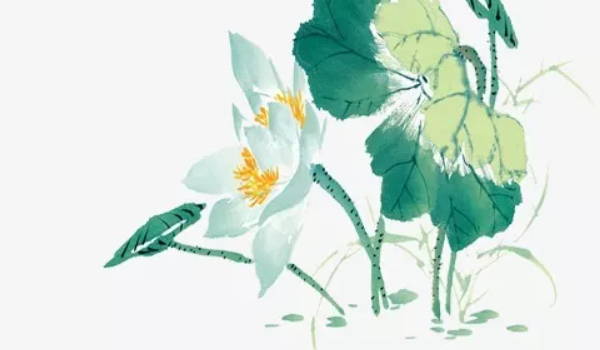 三个字公司名称大全简单大气(三个字简单大气的公司名称)插图