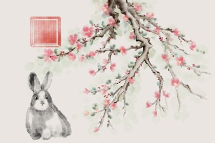 属兔的佩戴什么吉祥物为好(属兔的女性本命年佩戴什么好)插图