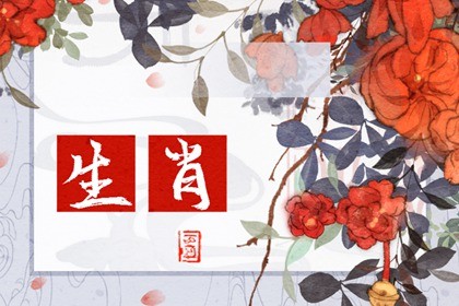 2023年运气好的生肖(生肖龙在2023年的运势)插图