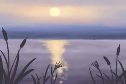 属兔的今年是本命年吗(今年是属兔的本命年吗)插图