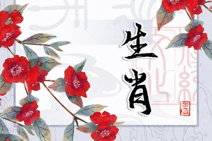 属兔的2022年适合搬家吗(2021年生肖兔适合搬家的日子)插图