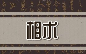 男人什么脚型是富贵命(男人小手小脚是富贵命)缩略图 男人什么脚型是富贵命(男人小手小脚是富贵命)缩略图