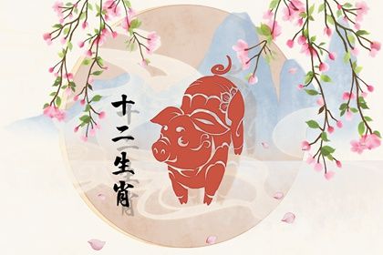 腊月生的猪宝宝命运如何(猪年腊月出生的男宝宝好不好?)插图