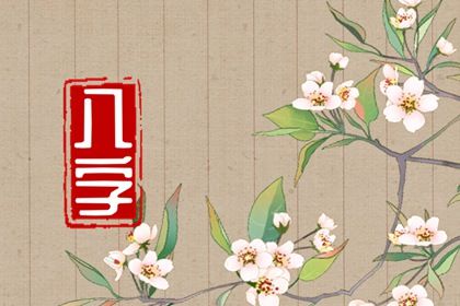 2023年运势12生肖运势如何(丙辰年生人2023年运势)插图