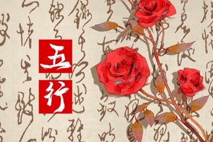 五行属火的适合做什么行业(五行属火的行业是什么)插图
