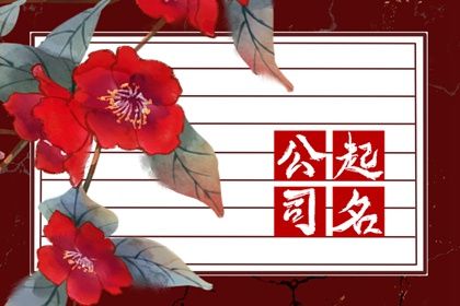 起名策划公司(寓意步步高升的公司名字)插图