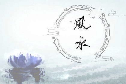 店铺增加风水的植物盆栽(门店聚财的盆栽可以放门口两边吗)插图