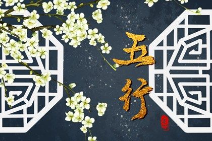 2023年的兔子五行属什么(2023年属兔的五行属性是什么)插图