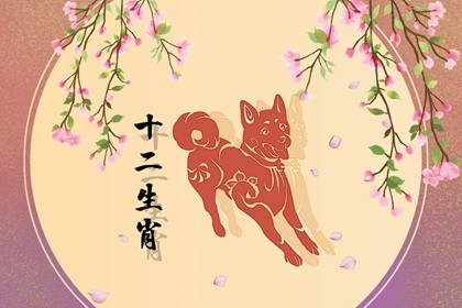 1982年属狗2023年运势及运程男(属狗1982年出生2021年运势及运程每月运程)插图