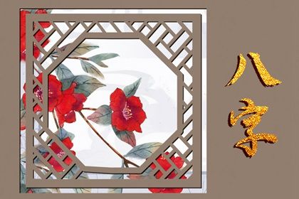 属猴的女孩啥时辰出生好(不同时辰出生的属猴人)插图