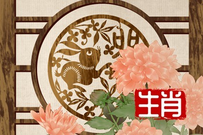 属兔的幸运号码是什么数字(属兔的幸运数字是1987年出生)插图
