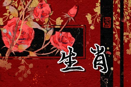 2023年属兔不宜生子的属相(2023年属兔的女孩好不好)插图