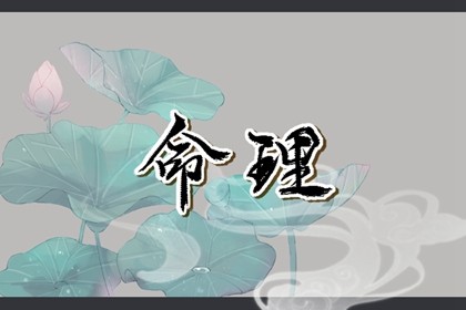 属兔腊月出生的男孩命运(属兔腊月出生是什么命)插图