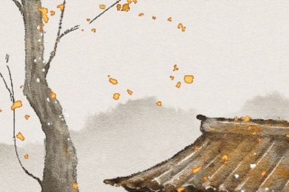 2023年全年运势(八字测2020年运势)插图