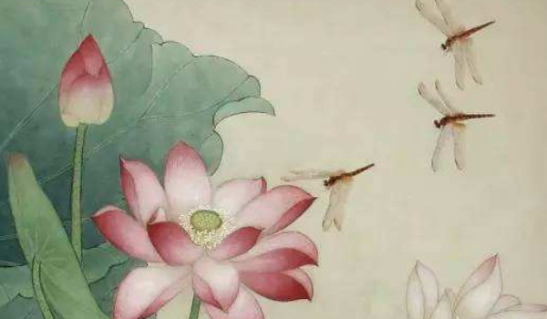 寡妇年和孤鸾年的区别  孤鸾年是什么意思插图