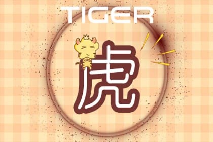 属虎人2022年适合换工作吗(属虎的人2022年事业怎么样)插图