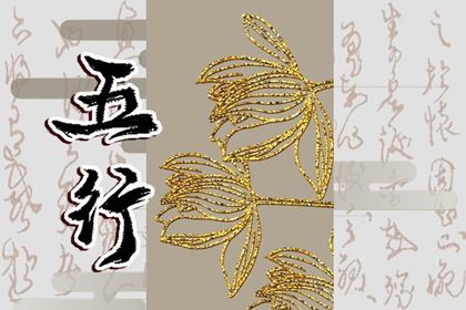2023年属兔金箔金命(2023年属兔的是什么命五行属什么)插图