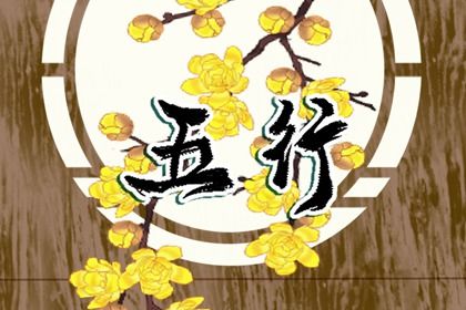 2020年五行什么金(2020庚子年纳音五行属什么)插图