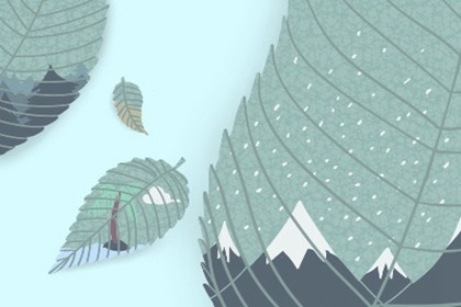 属兔什么时候是本命年(属兔本命年要注意什么)插图
