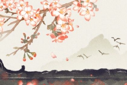 2023年癸卯流年运势(2024年生命密码流年运势)插图