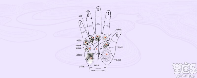 婚姻线感情线怎么看(怎么看感情线和婚姻线)插图