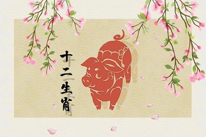 生肖猪2023年生肖运程(生肖猪2023年兔年运程)插图