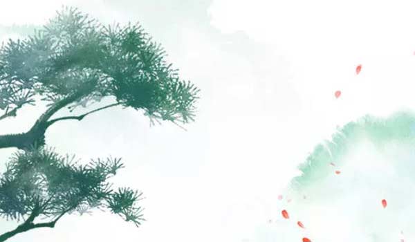 简单大气好记的公司名 寓意好的公司名字大全免费插图