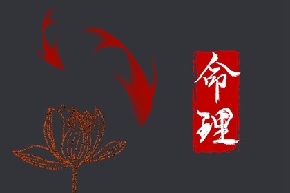 2023年一月份生宝宝是属虎还是兔(2023年阳历一月出生的是虎还是兔)插图