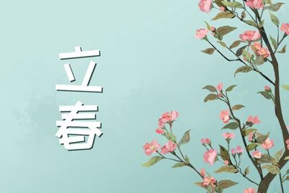 2027年立春时间几点几分几秒(201年立春时间几点几分几秒)插图