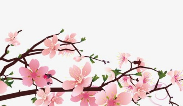 公司2个字独特好听名字 有高级感的公司名字插图