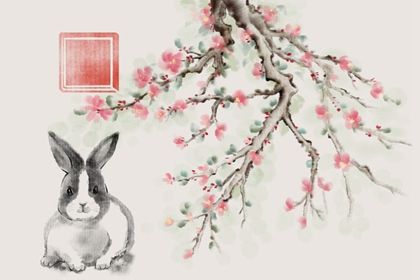 2023年属兔的是什么命(请问2023年属兔的是什么命人)插图