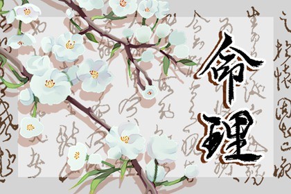 属兔腊月出生的命运怎么样(属兔腊月出生的人命运如何)插图
