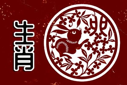 2023年出生属兔的是什么命(2023年属兔的是什么命什么水)插图