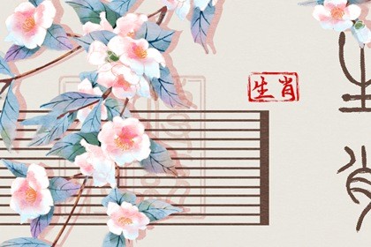 生肖兔在2023年的运势(2023年属兔出生的运势和财运)插图