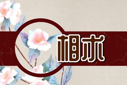 耳朵薄的人没有福气吗(耳朵坠薄真的没福气吗)插图