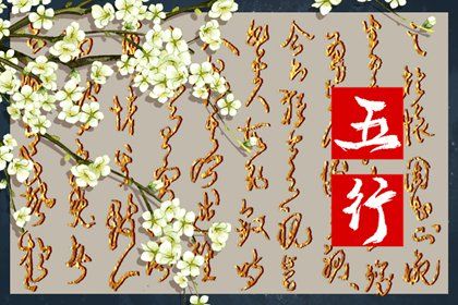 2023年五行运势 属兔人五行命运分析图(2023年五行运势 属兔人五行命运分析视频)插图
