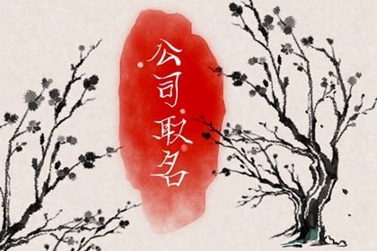 体育公司取名大全(体育公司起名大全2020最新版的)插图