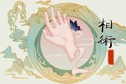 女人什么样的手相有福气(什么手掌的女人手相有福气)插图