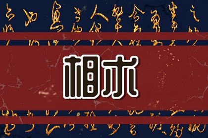 脸上的痣长在哪比较好(脸上的痣在哪最好)插图