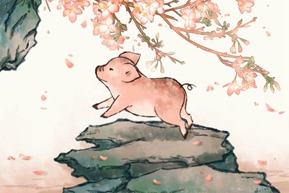 属兔人在猪年的运势(属猪人兔年运势2023)插图