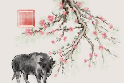 属牛的2020年11月份财运如何(2020年属牛横财运11月份)插图