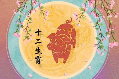 1971年属猪的2021年的命运如何(1971年出生的属猪女性在2021年的财运如何哪)插图