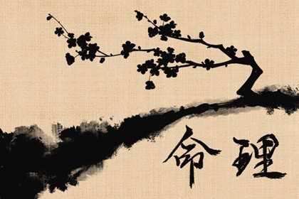 属兔九月初二命运如何(2023年属兔正月出生好吗)插图